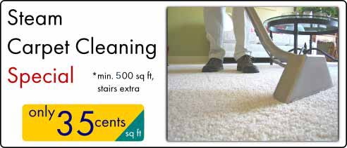 carpet cleaning coupon 2